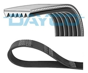 Dayco 6PK1555 V-Ribbed Belts