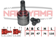NAKAYAMA N * * * Y