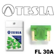 TESLA FL30A10 