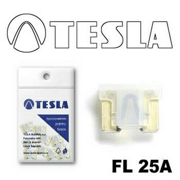 TESLA FL25A10 