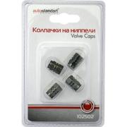 AutoStandart 102502 