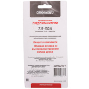 Skyway S09302004 