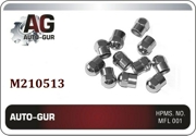 Auto-GUR M210513 