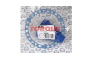 TORQUE V * * * 1